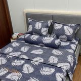  Bộ Drap Victoria TLV141 