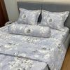  Bộ Drap Victoria TLV145 
