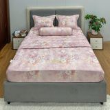  Bộ Drap White Swan TLC589 