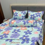  Bộ Drap B@n M@i Alpha TLA596 