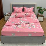  Bộ Drap B@n M@i Alpha TLA613 