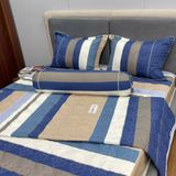  Bộ Drap B@n M@i Alpha TLA645 