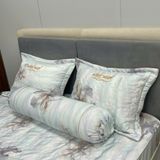  Bộ Drap White Swan TLC584 