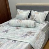  Bộ Drap White Swan TLC584 