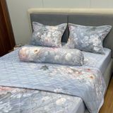  Bộ Drap Tencel Sweetly TS585 