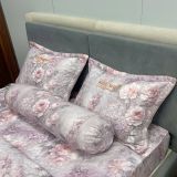  Bộ Drap White Swan TLC593 