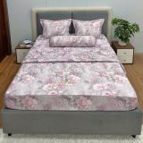  Bộ Drap White Swan TLC593 