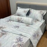  Bộ Drap Tencel Sweetly TS584 