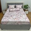 Bộ Drap Tencel Sweetly TS593 