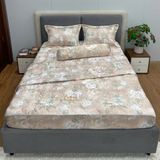  Bộ Drap Victoria TLV133 