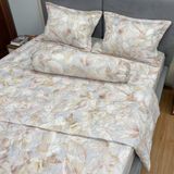  Bộ Drap Victoria TLV131 