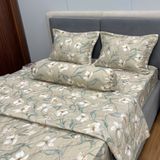  Bộ Drap Victoria TLV134 