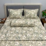  Bộ Drap Victoria TLV134 