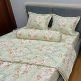  Bộ Drap Victoria TLV129 