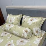  Bộ Drap White Swan TLC519 