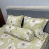  Bộ Drap White Swan TLC519 