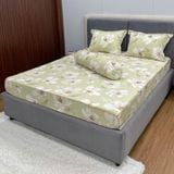  Bộ Drap White Swan TLC519 