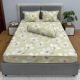  Bộ Drap White Swan TLC519 