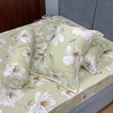  Bộ Drap White Swan TLC519 