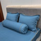  Bộ Drap White Swan WS12 