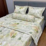  Bộ Drap Victoria TLV126 