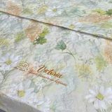  Bộ Drap Victoria TLV126 