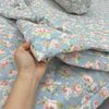  Bộ Drap Cotton Đũi Angel AG26 