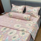  Bộ Drap White Swan TLC451 