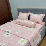  Bộ Drap B@n M@i Alpha TLA296 