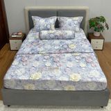  Bộ Drap Tencel Sweetly TS604 