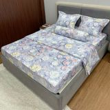  Bộ Drap Tencel Sweetly TS604 