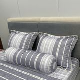  Bộ Drap Tencel 50s B@n M@i TL138 