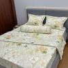  Bộ Drap Tencel 50s B@n M@i TL126 