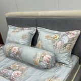  Bộ Drap White Swan TLC595 