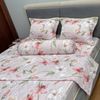  Bộ Drap Tencel 50s B@n M@i TL140 