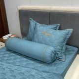  Bộ Drap White Swan WS25 