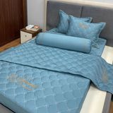  Bộ Drap White Swan WS25 