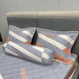  Bộ Drap White Swan TLC150 