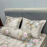  Bộ Drap White Swan TLC614 