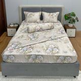  Bộ Drap White Swan TLC614 