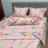  Bộ Drap B@n M@i Alpha TLA518 