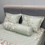  Bộ Drap B@n M@i Alpha TLA211 