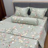  Bộ Drap B@n M@i Alpha TLA211 