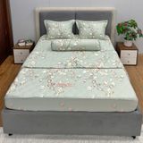  Bộ Drap B@n M@i Alpha TLA211 