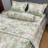  Bộ Drap White Swan TLC607 