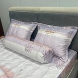  Bộ Drap White Swan TLC615 