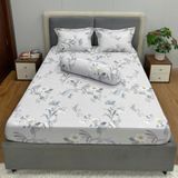  Bộ Drap Victoria TLV108 