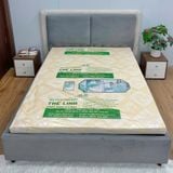  Nệm Cao Su Thiên Nhiên Dream 