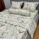  Bộ Drap Victoria TLV159 