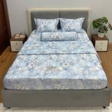  Bộ Drap Victoria TLV160 